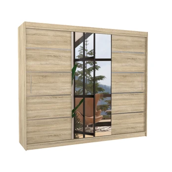 Sliding wardrobe with mirror SALTO 250