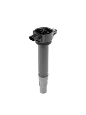 Ritė, uždegimas BorgWarner (BERU) ZS599