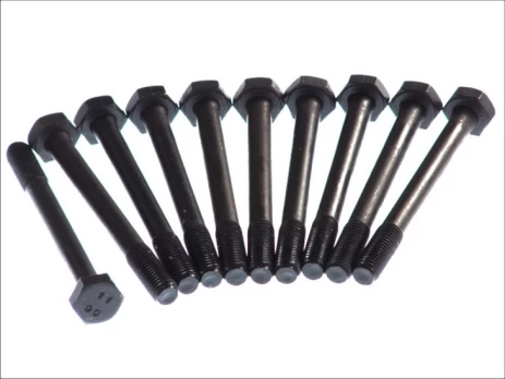 ELRING EL111630 Cylinder head bolt set