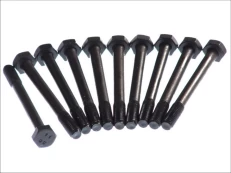 ELRING EL111630 Cylinder head bolt set kaina