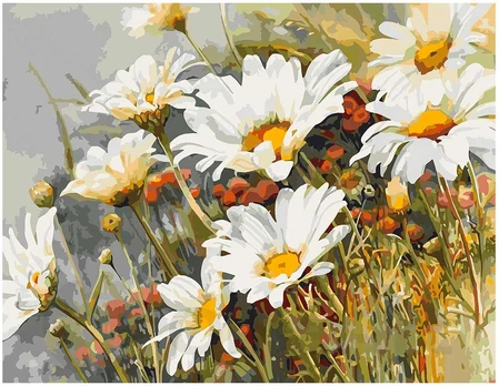 Omaart Chamomile field