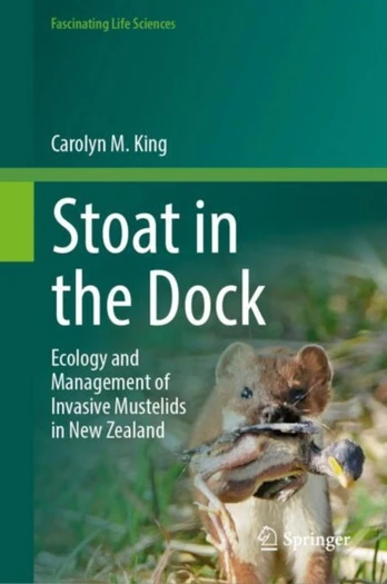 Stoat in the Dock
