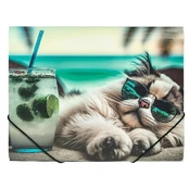 Aplankas su guma A4 CHILLOUT CAT kaina