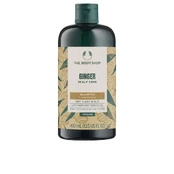 GINGER šampūnas 400 ml kaina