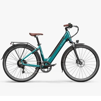Electric bicycle FIIDO C11 Pro, Green