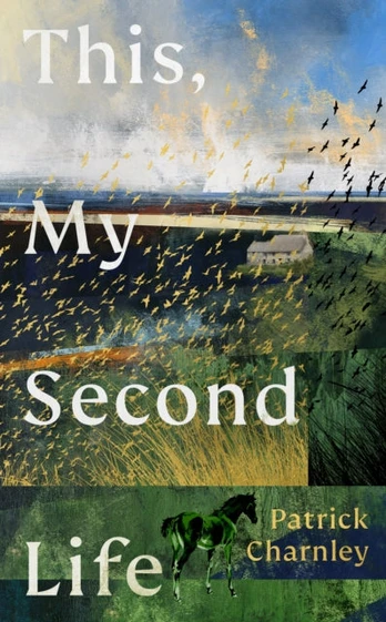 This, My Second Life