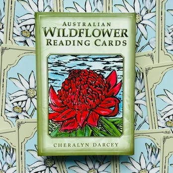 Australian Wildflower kortos