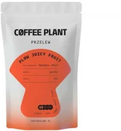 COFFEE PLANT - FLOW Juicy Fruit Filter 100g