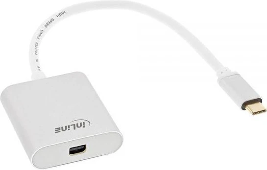 USB InLine adapteris USB-C – DisplayPort Mini Baltas (64105S)