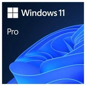 Microsoft Windows 11 Pro 64 bitų, CZ, OEM, DVD