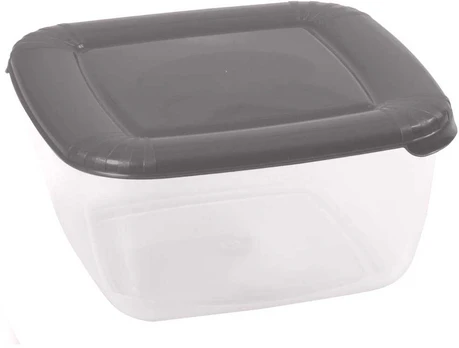 Albert maisto konteineris pilkas 2,5 l DOMOTTI