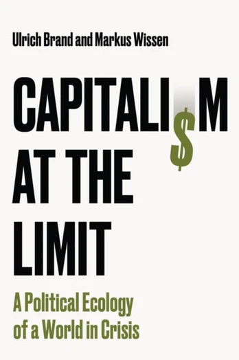 Capitalism at the Limit