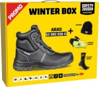 ARAS WINTER BOXWITH FREE GADGETS kaina