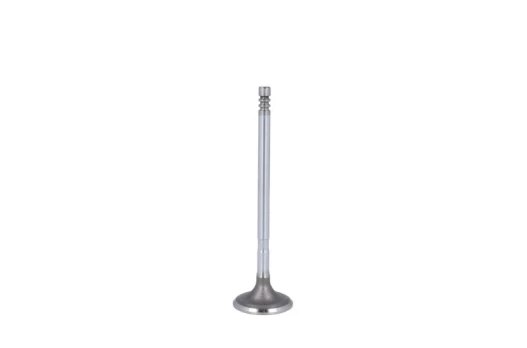FRECCIA 6252/SCR Inlet valve