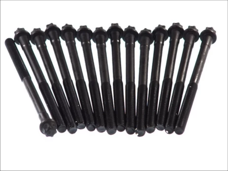 ELRING EL820229 Cylinder head bolt set