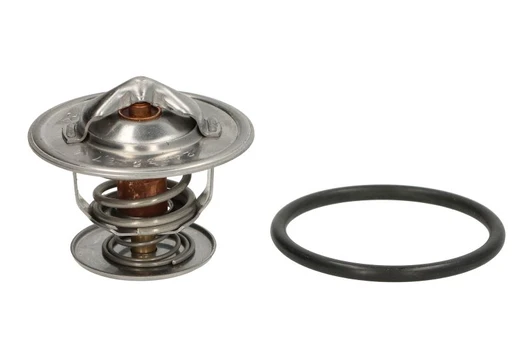 termostatas, aušinimo skystis THERMOTEC D2T003TT