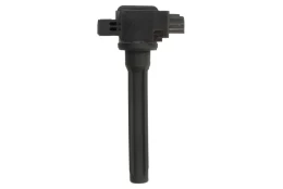 DELPHI GN10983-12B1 Ignition coil kaina