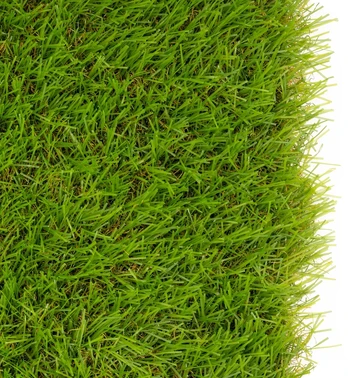 Springos Dirbtinė žolė 2 x 5 m GA0261