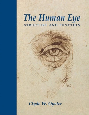 Human Eye