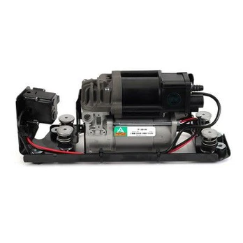 Arnott P-3818 Kompresorius, suspausto oro sistema