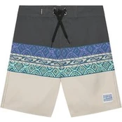 Quiksilver Plaukimo šortai Everyday Panel 17 EQBBS03724 Spalvota Regular Fit