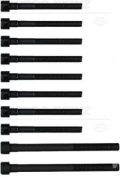 REINZ 14-55097-01 Cylinder head bolt set kaina