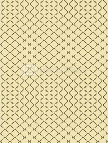 Westcott Sienna Modern Vintage X Drop Backdrop