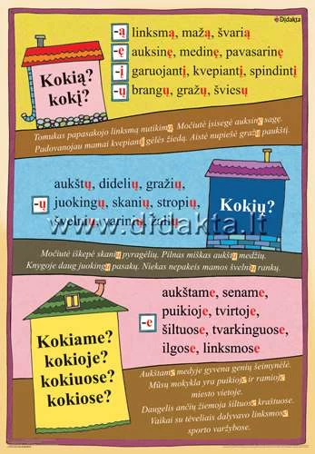 Kokią? Kokį?