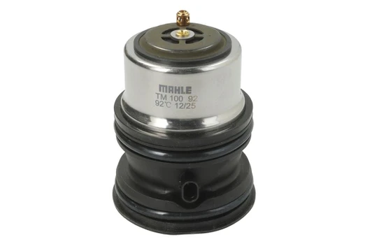 AuÅ¡inimo skysÄio termostatas MAHLE TM 100 92