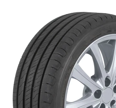 Padanga vasarinė Efficientgrip Performance 2 225/55R18 102V XL