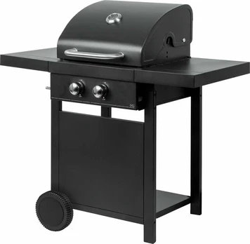 Master Grill Dujinė kepsninė MASTER MG669 su 2 degikliais