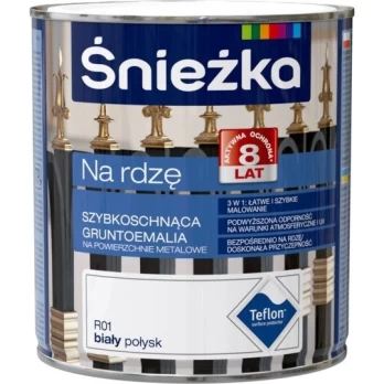 Emalė ant rūdžių balta 0.65l
