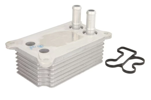 Alyvos radiatorius THERMOTEC D4G004TT