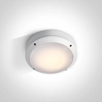 Lauko plafonas, E27, baltas, 67204/W
