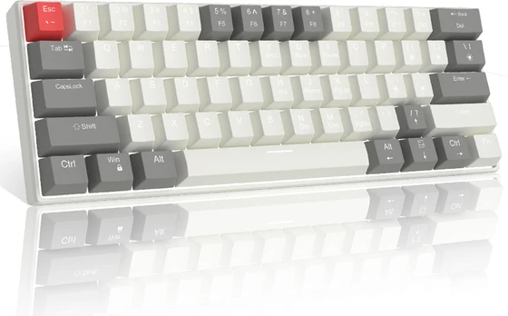 Magegee STAR61 Grey White, Blue Lighting, Red Switch, US