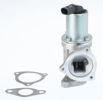 ERG vožtuvas BorgWarner (Wahler) 711031D/1