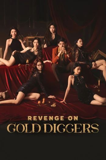Revenge On Gold Diggers PC