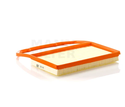 Oro filtras C29015