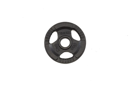 Svoris grifui TOORX DGN-TG D50mm 5kg