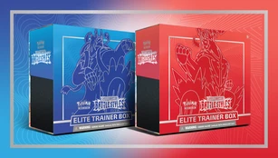 Pokemon TCG Sword and Shield Battle Styles Elite Trainer Box