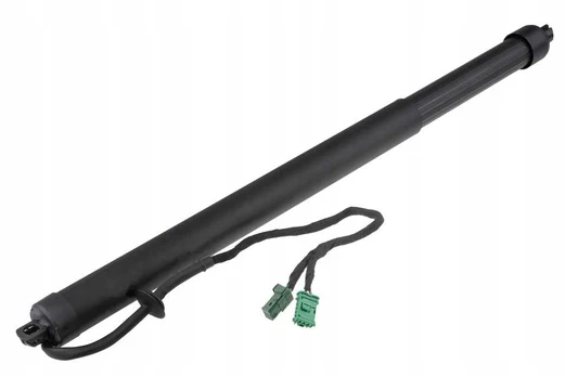 Galinių durų elektros variklis NTY AE-CT-058