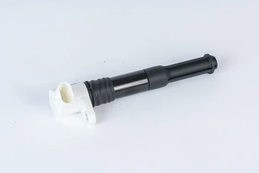 Ritė, uždegimas BorgWarner (BERU) ZSE219