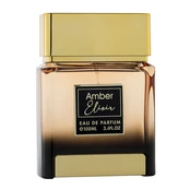 Flavia Amber Elixir - EDP 100ml Vyrams EDP kaina