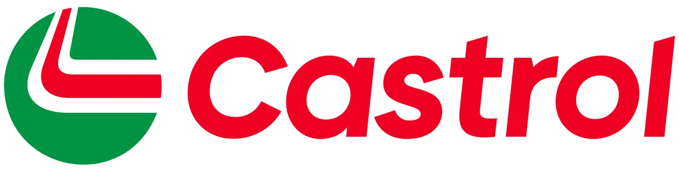 Variklių alyva CASTROL MAGNATEC 5W30 C3 5L
