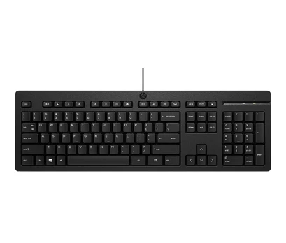Hewlett Packard (HP) HP 125 G2 Wired USB Keyboard - anglická