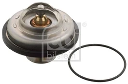 Termostatas, aušinimo skystis FEBI BILSTEIN 09324
