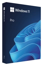 Microsoft Windows 11 Professional BOX USB PL kaina