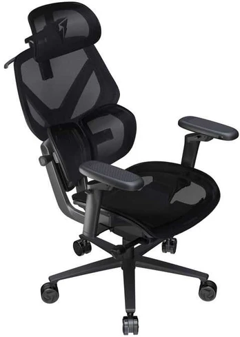 ThunderX3 FLEX Pro Gaming Stuhl, ergonomisch - Mesh, juodas