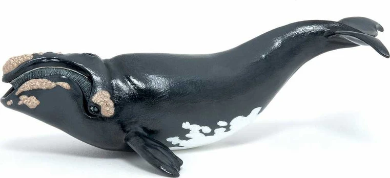 Figūrėlė Hasbro Waleń