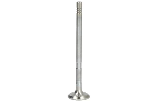 FRECCIA 8022/RCR Exhaust valve